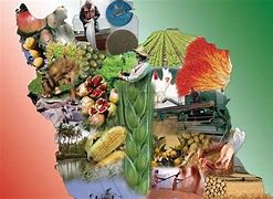 انتخاب ایران به عنوان یکی از سه کشور طرح جهانی غذا و کشاورزی